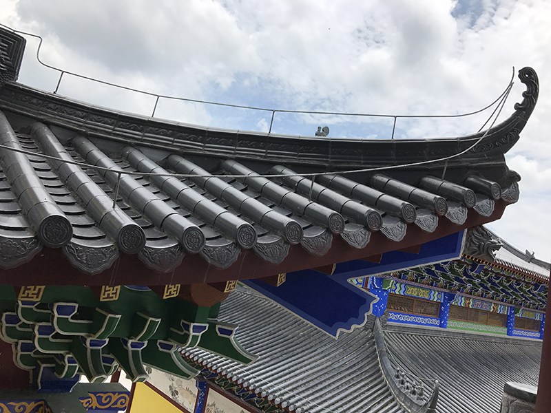 2017-05-11 123416.jpg